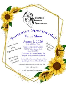 Arabian Summer Horse Show